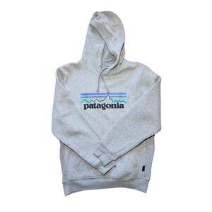 Patagonia Logo Hoodie Gray Size S Regular